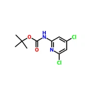 CAS 1017789-38-6 |2-BOC-AMINO-4,6-DIKLOROPIRIDIN