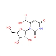 CAS:314-50-1|OROTIDIN